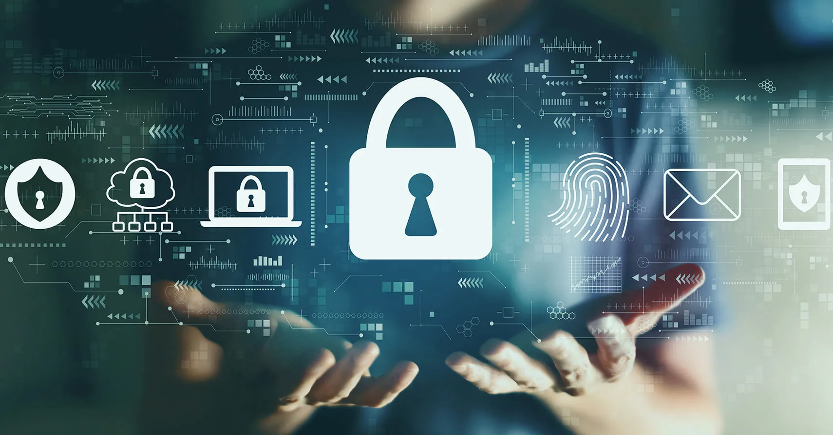 Data Security 101 for Small Business Owners: What Role-Based Access Actually Means